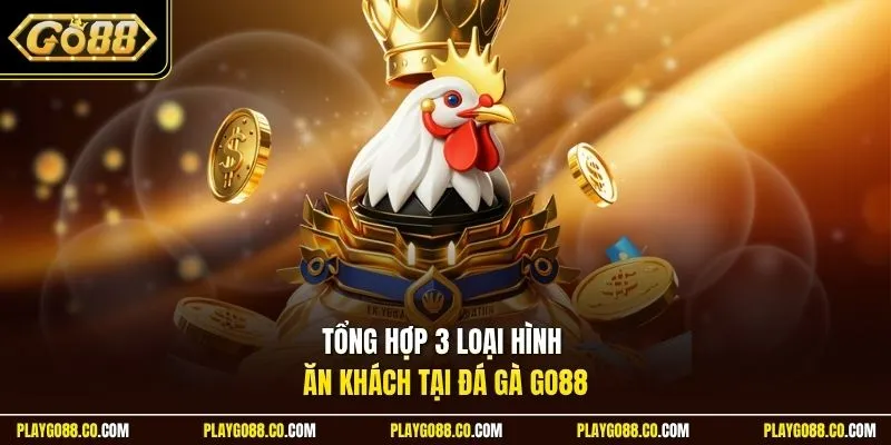 Tổng hợp 3 loại hình ăn khách tại đá gà GO88
